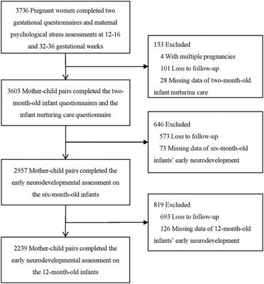 Longitudinal association between maternal psychological stress during pregnancy and infant neurodevelopment: The moderating effects of responsive caregiving